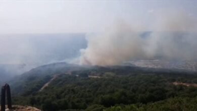بالفيديو... حريق كبير على طريق حامات البحريّ