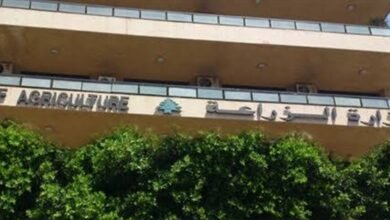 اعتداء جديد يلحق أضراراً جسيمة بمصلحة زراعة النبطية