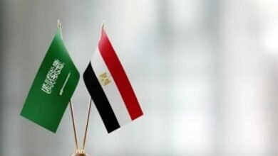 مصر: أمن المملكة جزء لا من الأمن القومي المصري والعربي