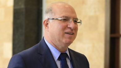 وزير العمل إلى القاهرة