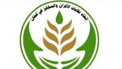 دعوة لاجتماعٍ طارئ.. اتحاد الأفران طالب بتعديل تسعيرة الخبز