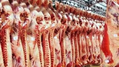 نقابة القصابين وتجار المواشي : الرسوم البيئية ترفع كلفة الإنتاج وتُشعل الأسعار