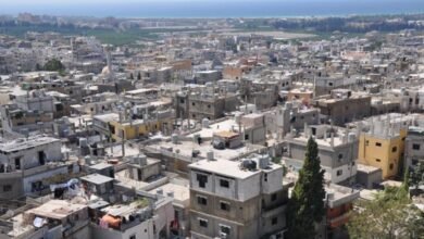 إطلاق نار داخل مخيم عين الحلوة... إليكم التفاصيل