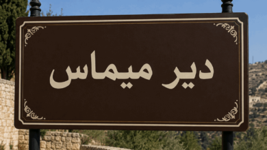 الجيش الإسرائيلي يُلقي قنابل صوتية باتجاه عناصر الجيش اللبناني عند أطراف ديرميماس