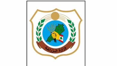 "الزراعة" أعلنت خارطة طريق لموسم التفاح 2026: فتح الأسواق وتعزيز التصدير وحماية الإنتاج