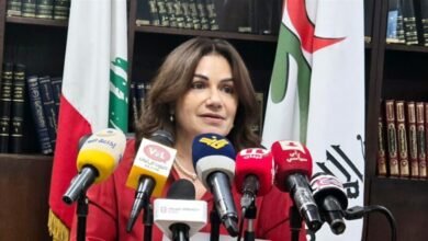 السيّد: بإمكان إيطاليا المساهمة بصورة فاعلة في مسار تعافي لبنان