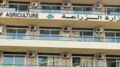 وزارة الزراعة تعلن مواعيد مباريات الدخول إلى المدارس الزراعية الفنية