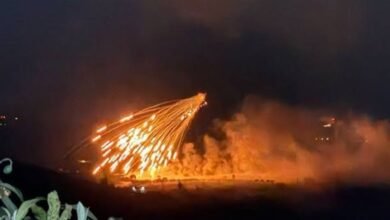 الزين: القصف الفوسفوري يفاقم الكارثة البيئية في الجنوب