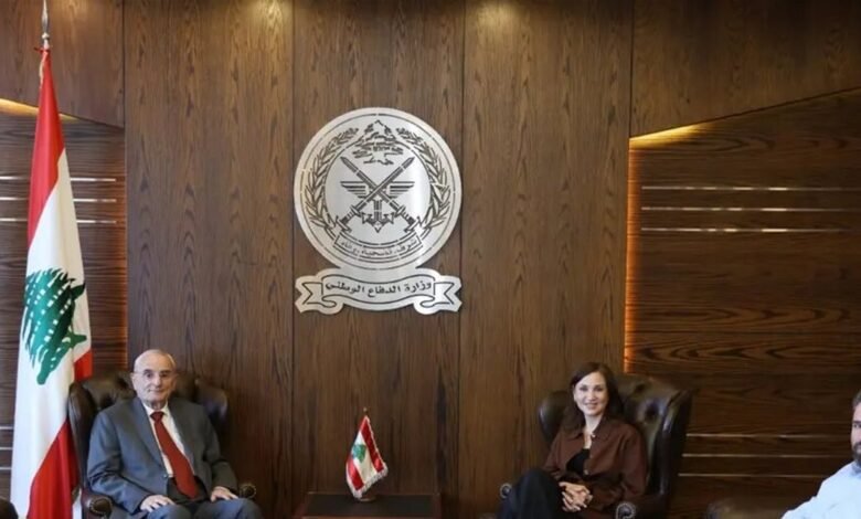 منسى بحث بدائل ما بعد "اليونيفيل"