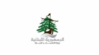 حماية المستهلك: 17223 كشفا ميدانيا و836 محضر ضبط منذ بداية العام