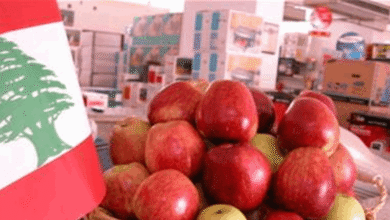 تجربة محلية تكسر أزمة التفاح... والنتائج تلفت الأنظار