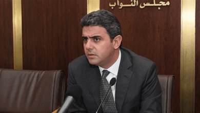 الحواط: الطائفة الشيعية تدرك أن "حزب الله" أضرّ بها وبالجنوب أكثر من أية جهة أخرى