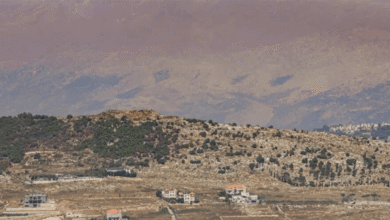 "علي الطاهر"... ماذا لو كان القرار لبنانياً فقط