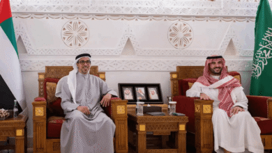 منصور بن زايد وخالد بن سلمان يبحثان العلاقات الأخوية في الرياض