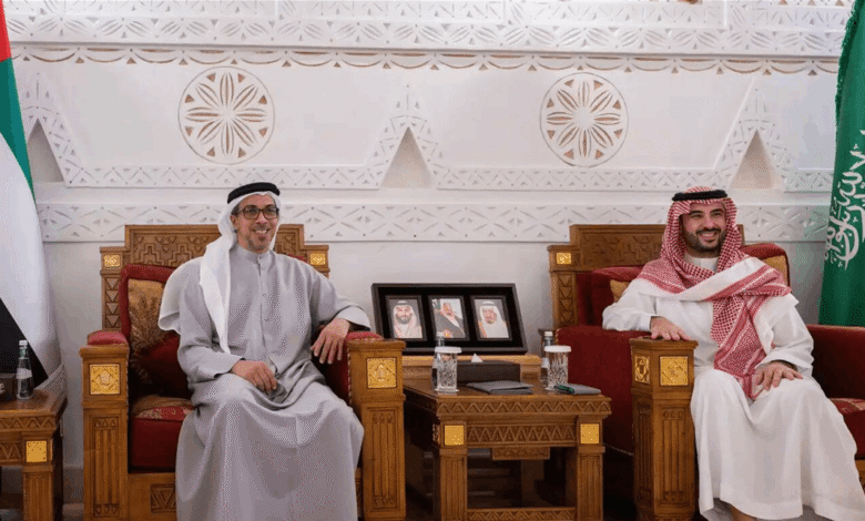 منصور بن زايد وخالد بن سلمان يبحثان العلاقات الأخوية في الرياض