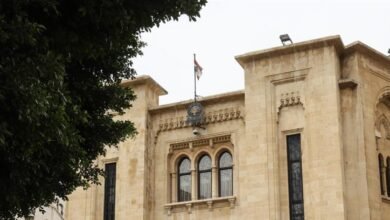 نائبة تبحث عن "ترند"