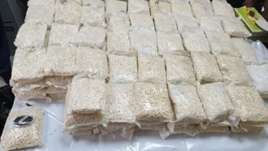 في "جواخير كبد"... إحباط تهريب 700 ألف حبة كبتاغون من العراق إلى الكويت