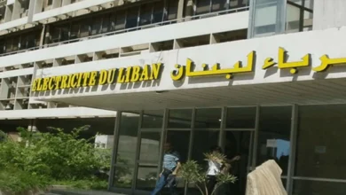 توزيع الكهرباء أمام نموذج جديد: مشغل خاص لكل منطقة وأصول الشبكة للدولة