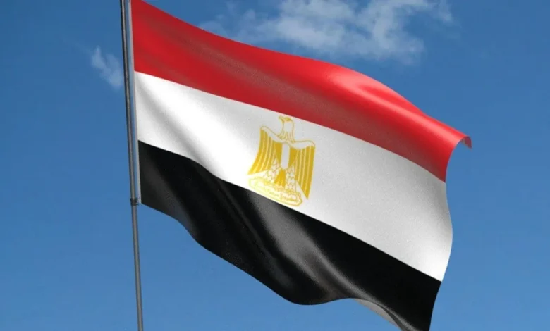 شراكة مصرية - إماراتية لتأسيس منطقة لتخزين وتداول النفط على ساحل المتوسط