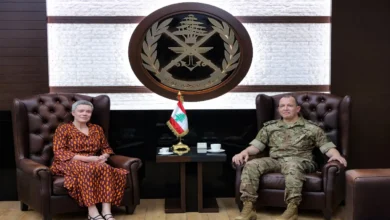 هيكل ودي وايلي يتباحثان في مرحلة ما بعد "اليونيفيل"