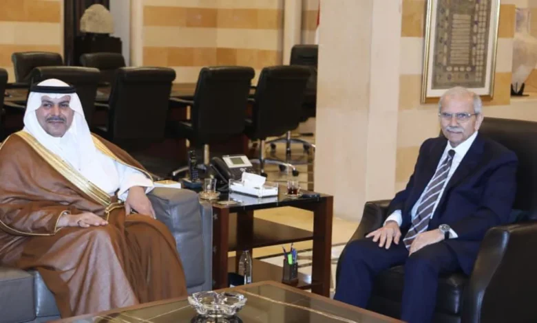 السراي الحكومي... متابعة لنتائج زيارة الإمارات وخطط التعافي في الجنوب