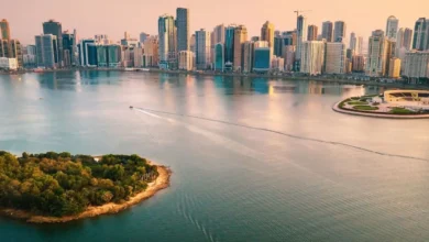 الشارقة تستقطب 142 مشروعاً باستثمارات 2.1 مليار دولار خلال 2025