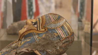 إحباط تهريب قطع فرعونية... لبنان يعيد إلى مصر آثاراً مهربة (صور)