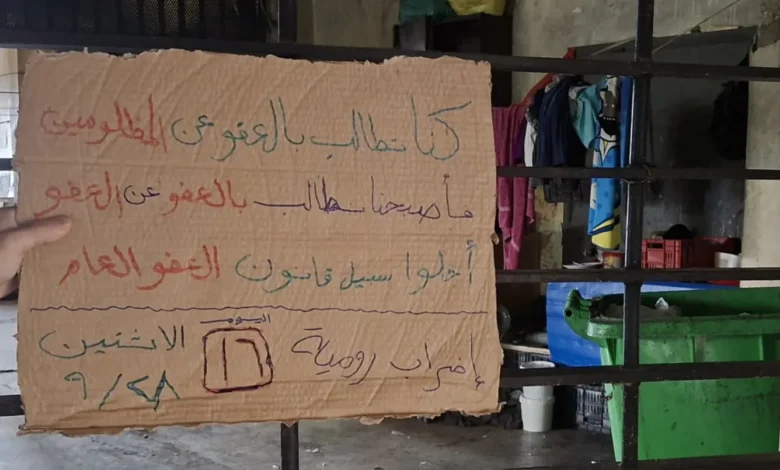 سجناء منقطعون عن الطعام للمطالبة بقانون العفو... فهل يفكّ المجلس الدستوري إضراب سجن رومية؟