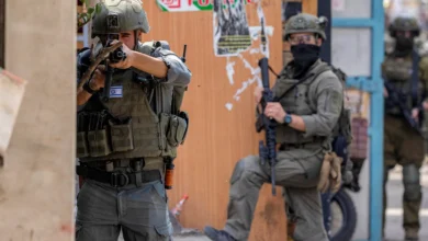 الضفة الغربية.. الاحتلال يعتقل 12 فلسطينيا ويقتلع عشرات أشجار الزيتون