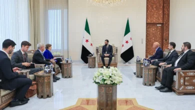 ويلسون يدعو إسرائيل لوقف غاراتها على سوريا
