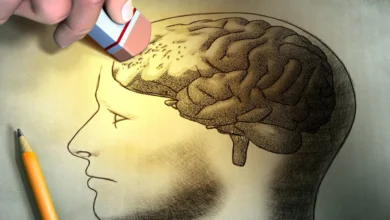 ما العلاقة بين داء ألزهايمر ومرحلة انقطاع الطمث