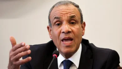 عبد العاطي: إسرائيل تعرقل تنفيذ خطة ترامب في غزة.. والتهجير أمر مرفوض