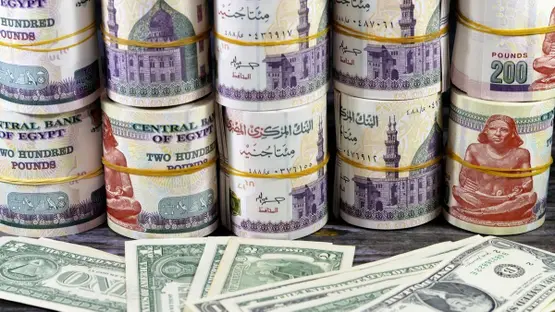 تراجع سعر الدولار في مصر مع العودة القوية للأموال الساخنة
