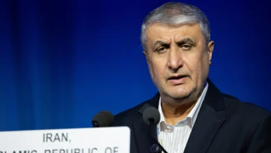 النمسا تمنع رئيس الطاقة الذرية الإيرانية من دخول أراضيها