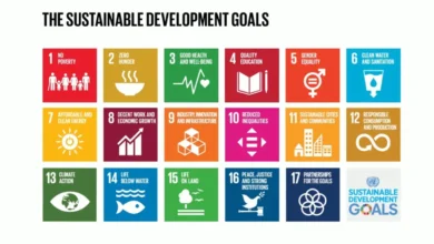 أهداف التنمية المستدامة 2030... ماذا تحقّق قبل أربع سنوات من الموعد؟