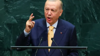تركيا تدعو إلى إلغاء "الفيتو" بمجلس الأمن فهل يمكن أن يحدث ذلك؟