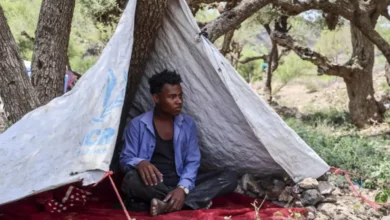 اليمن... اشتباكات عنيفة بين الحكومة والحوثيين تُسفر عن مقتل أكثر من 300 شخص