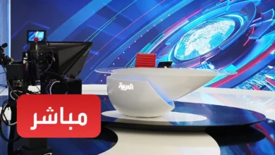 القوات اليمنية تسيطر على باب المندب وذوباب.. وتنفذ هجوماً على صنعاء