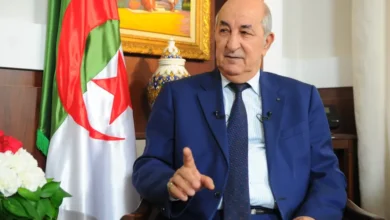 تبون: أرسلنا مقاتلات إلى النيجر لإحباط "محاولة انقلابية"