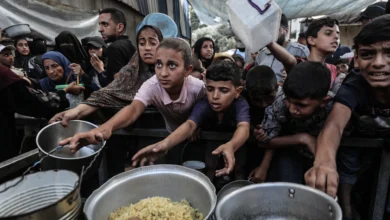غزة أمام شبح مجاعة جديدة.. الأغذية العالمي يقلص مساعداته إلى القطاع