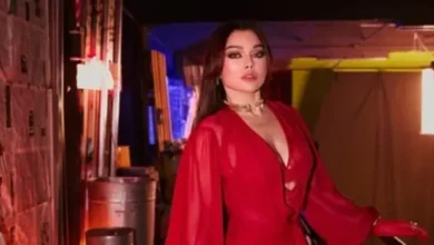 في قضية هيفاء وهبي.. السجن 3 سنوات وغرامة مالية لمدير أعمالها السابق