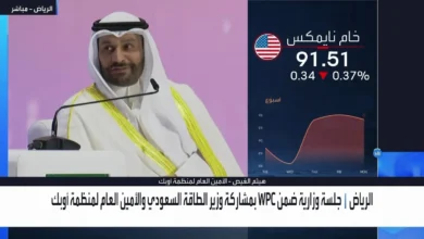 هيثم الغيص: خط شرق-غرب بالسعودية مثال قوي على التأمين المسبق لإمدادات الطاقة