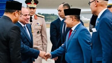 السيسي: لا تفريط في حقوق النيل.. ولا تهجير للفلسطينيين