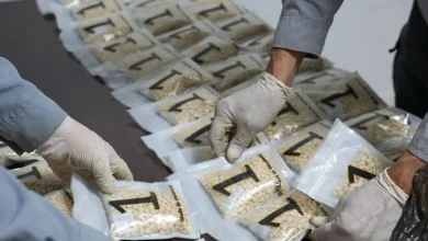السلطات السورية تحبط تهريب 524 ألف حبة كبتاغون من لبنان