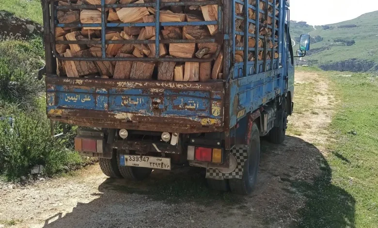 قطع وتجارة ومخالفات: الوجه الآخر لحطب الشتاء في لبنان