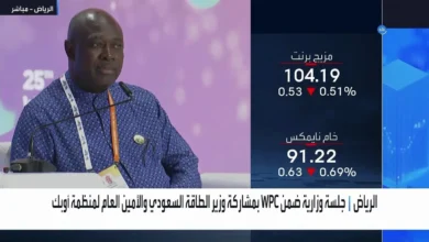 وزير الدولة النيجيري لشؤون البترول: ما يحدث حالياً يشير إلى أزمة عالمية بالطاقة