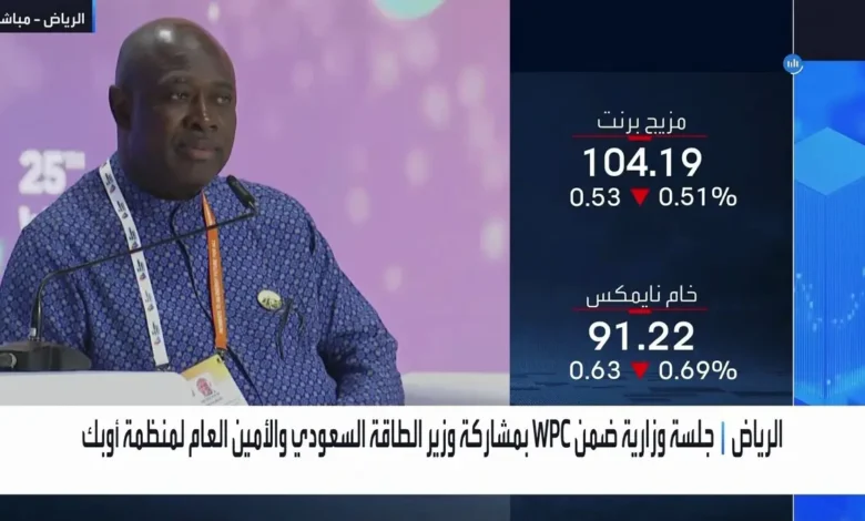 وزير الدولة النيجيري لشؤون البترول: ما يحدث حالياً يشير إلى أزمة عالمية بالطاقة