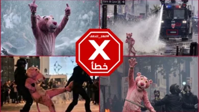 النمر الوردي "نجم" احتجاجات فرنسا... حقيقة هذه الصور التي أثارت تفاعلاً واسعاً | النهار تدقق FactCheck