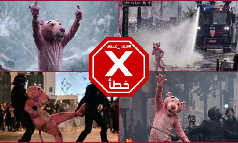 النمر الوردي "نجم" احتجاجات فرنسا... حقيقة هذه الصور التي أثارت تفاعلاً واسعاً | النهار تدقق FactCheck