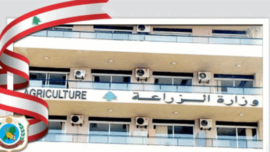 بمبادرة من وزارة الزراعة... مجلس الوزراء يقرّ إعفاء بذور الخضر من الرسوم الجمركية